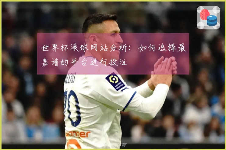 世界杯滚球网站分析：如何选择最靠谱的平台进行投注