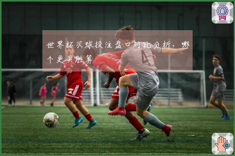 世界杯买球投注盘口对比分析，哪个更具胜算