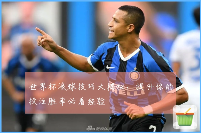 世界杯滚球技巧大揭秘，提升你的投注胜率必看经验
