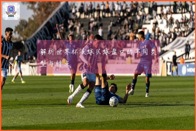 解析世界杯滚球买球盘口的不同类型与特点