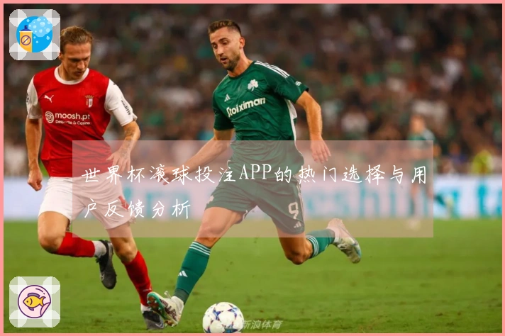 世界杯滚球投注APP的热门选择与用户反馈分析