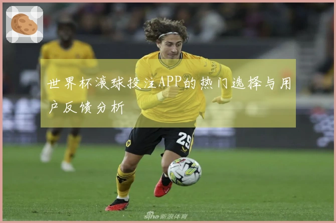 世界杯滚球投注APP的热门选择与用户反馈分析