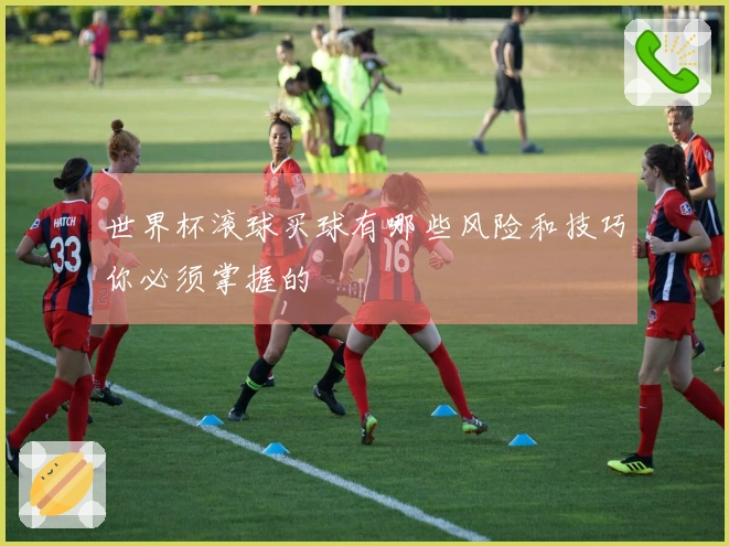 世界杯滚球买球有哪些风险和技巧你必须掌握的