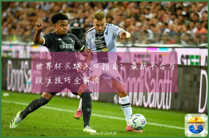世界杯买球入口指南：最新平台与投注技巧全解读